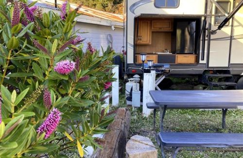 Fort Bragg House | Poop Deck