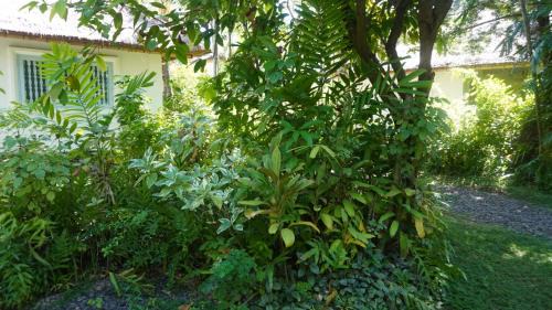 Downtown Kuta Cabin | Poppies Cottages on Two