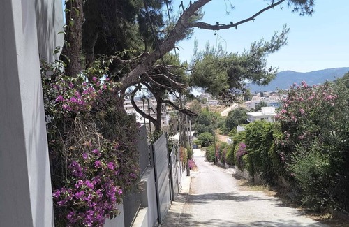 Markopoulo Mesogaias Apartment | Port Apartment @ Porto Rafti by the sea and 30 minutes from Athens Airport