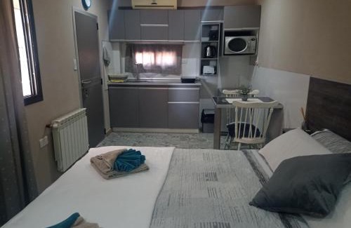 Chacras de Coria Apartment | Portal La Delfina