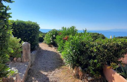Terravecchia-Portoquadro Apartment | Porto Quadro vista Mare e vista Corsica