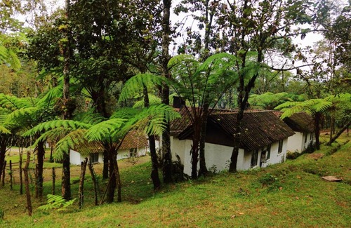 Purulha Hotel | Posada Montaña del Quetzal