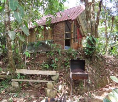 San Luis Hotel | Posadas Entre El Bosque