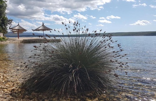 Municipality of Posedarje Apartment | Posedarje Zadar