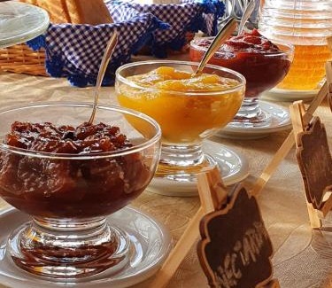 Carvalhos Hotel | Pousada do Morro Verde