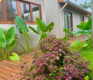 Floresta Velha Hotel | Pousada Maresia