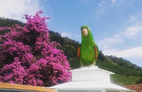 Serra Negra Hotel | Pousada Primavera da Serra