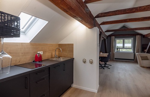 Villach Apartment | Prächtiges Loft Unter Robusten Eichenbalken