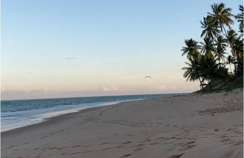Praia do Forte Apartment | Praia do Forte- Iberostar- Ap Luxuoso 3 qts