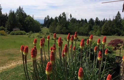 Regional District of Nanaimo RV Rental | Prancing Pony Glamping Dome at Shirewoods Farm