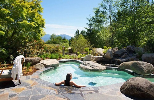 Stevenson Apartment | Premier King Room with Fireplace and Forest Views