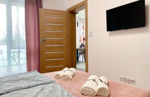 Rzeszow Apartment | Premium Apartment - Red Rose - SELF CHECK-IN