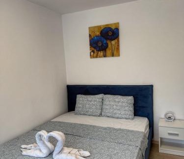 Craiova Apartment | Premium UltraCentral Apartment Self Check-in Old Town