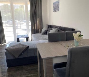 Veliko Gradiste Apartment | Prenoćište SILVER LUX Srebrno Jezero 6