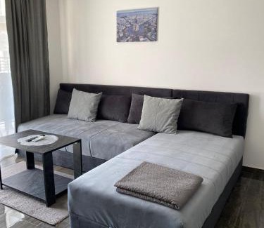 Veliko Gradiste Apartment | Prenoćište SILVER LUX Srebrno Jezero 6