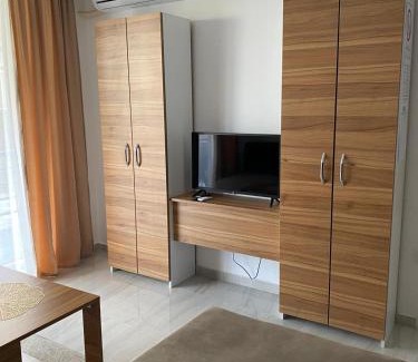Veliko Gradiste Apartment | Prenoćište Silver Lux Srebrno Jezero 11