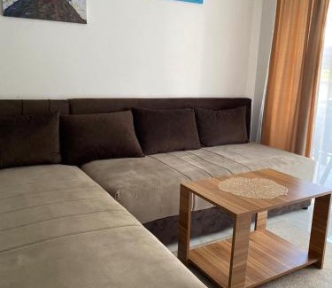 Veliko Gradiste Apartment | Prenoćište Silver Lux Srebrno Jezero 11