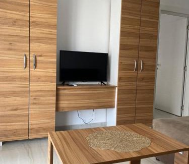 Veliko Gradiste Apartment | Prenoćište Silver Lux Srebrno Jezero 11