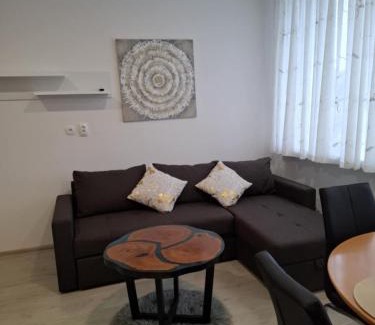 Dravograd Apartment | Prenočišča Dany APARTMA 2