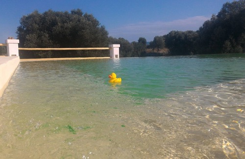 Fasano Villa | Prestigious Masseria with large panoramic swimming pool in Savelletri