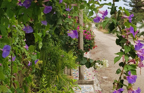 Chott Mariem House | Pretty ground-floor house with garden and terrace