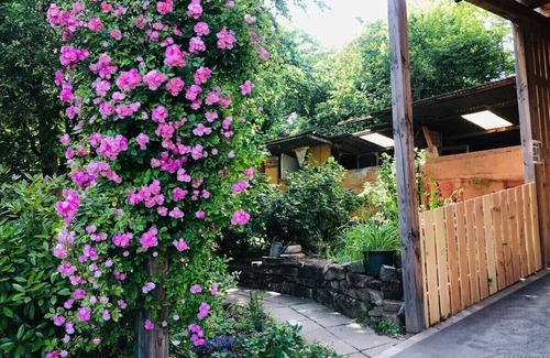 Bischwiller House | Pretty, spacious gite surrounded by greenery