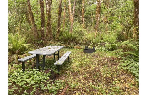 Forks RV Rental | Primitive Tent Site #15- Beautiful Forested Property