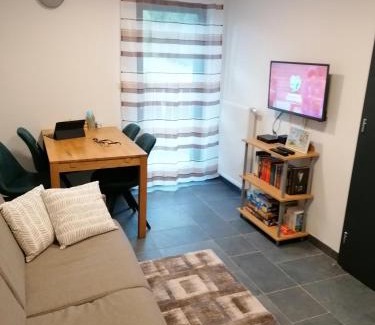Mozirje Apartment | Primorka Golte