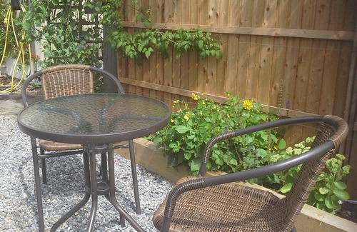 Killaloe Apartment | Primrose Lodge at Blossom Hill Bed and Breakfast