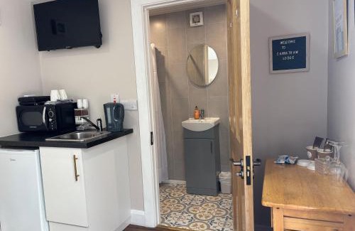 Cavan Apartment | Private Detached Small Bedroom and Bathroom Only- This is not an apartment- No clothes storage- no cooking facilities