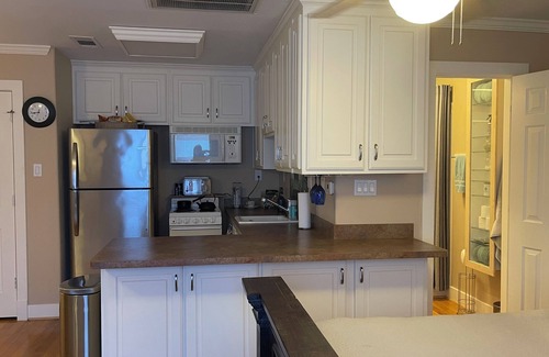 Shady Acres Apartment | Private 1 bed 1 bath Studio Garage Apartment in the Heights + Free WIFI