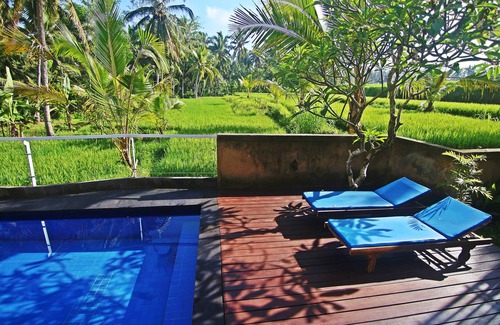 Pejeng Kawan Villa | Private 1 Bedroom Ricefields View Villa Ubud