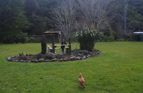 Tapu Cottage | Private and Peaceful Kingfisher Paradise Cottage