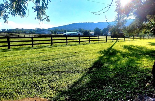 Bluemont Apartment | Private apartment on a beautiful private farm!