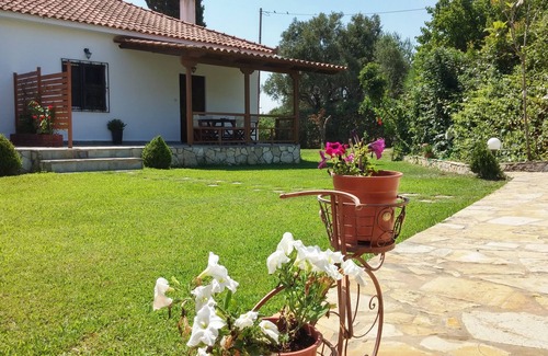 Tsilivi Apartment | Private Apartments in 6500m2 Fenced Off Green Olive Groove 200m away from beach