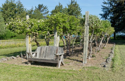 Port Angeles House | Private Beach Access, Quiet, Farm Setting, Secluded Nature Trails