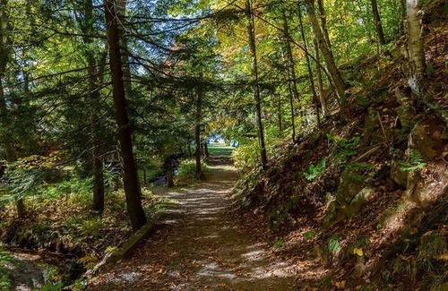 Utterson Cottage | Private Beachfront Oasis on Skeleton Lake