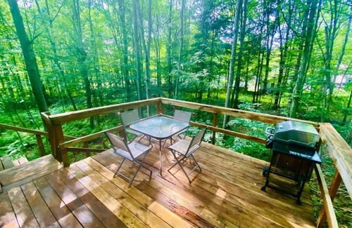 Pocono Lake Cabin | Private Cabin/Treehouse in the Poconos