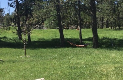 Custer RV Rental | Private Camper Site near Popular Attractions