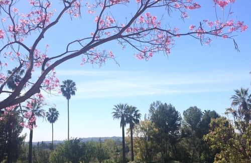 Pasadena House | Private Cottage at 5 stars Resort 2Room 2Bath Luxury Suite, parking