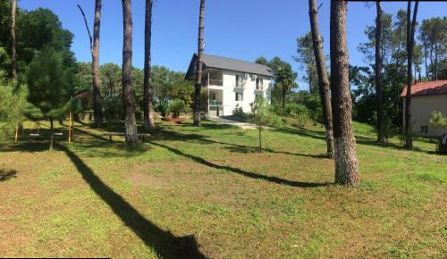 Shekhvetili House | Private Cottage at the Black sea
