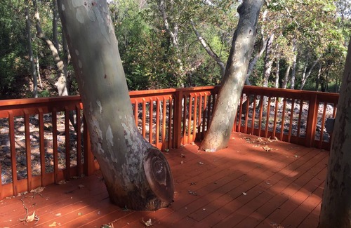 Sedona House | PRIVATE CREEK FRONT - In Heart of Sedona on a 4 Acre Orchard steps to Oak Creek