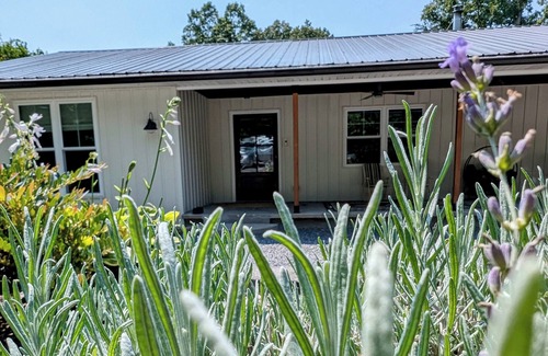 Graysville House | Private Getaway Outside Chattanooga - Close to Fall Creek Falls & State Parksn