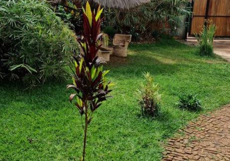 Gikondo Apartment | Private guest house Phillip