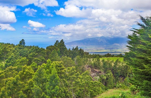 Kula Cottage | Private Home with Pool & Fruit Trees, on the Way to Haleakala National Park!