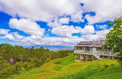 Kula Cottage | Private Home with Pool & Fruit Trees, on the Way to Haleakala National Park!