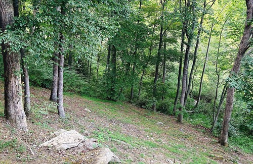 Hendersonville Apartment | Private Lake, Kayaks, Bike, fishing. Peaceful Private condo. Close to Hospital.