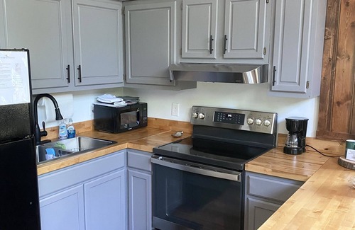 Lake Lure Cottage | Private lake open! Private community with own lake and beach access.