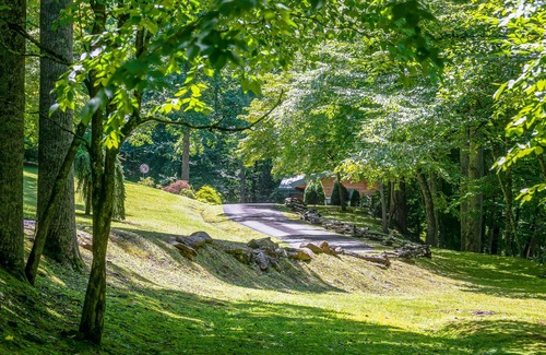 Candler Cabin | PRIVATE MOUNTAIN COUPLES GETAWAY. 16 MI TO ASHEVILLE. CREEK, HOT TUB, FIREPLACE