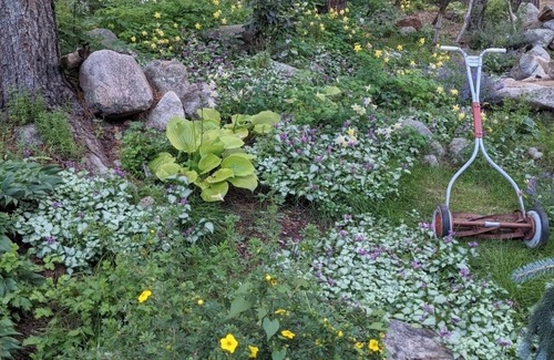 Allenspark House | Private Mountain Tranquility for large families near Rocky Mountain National Pk!